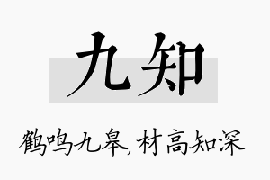 九知名字的寓意及含义