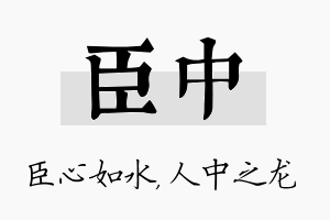 臣中名字的寓意及含义