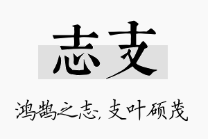 志支名字的寓意及含义