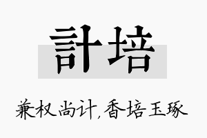 计培名字的寓意及含义