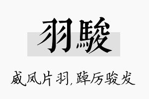 羽骏名字的寓意及含义