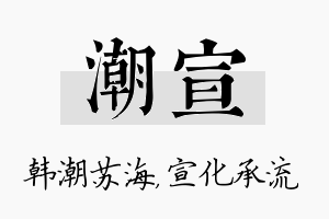 潮宣名字的寓意及含义