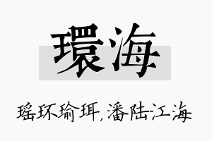 环海名字的寓意及含义