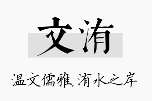 文洧名字的寓意及含义