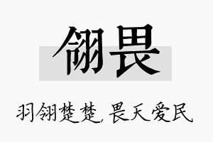 翎畏名字的寓意及含义