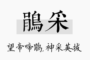 鹃采名字的寓意及含义