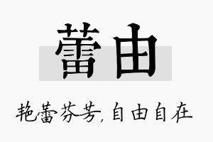 蕾由名字的寓意及含义