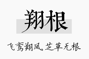 翔根名字的寓意及含义