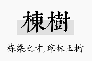 栋树名字的寓意及含义