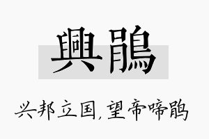 兴鹃名字的寓意及含义