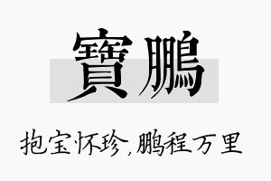 宝鹏名字的寓意及含义