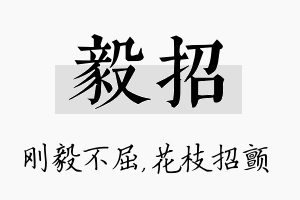 毅招名字的寓意及含义