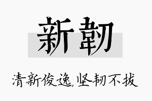 新韧名字的寓意及含义