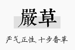 严草名字的寓意及含义