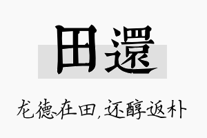 田还名字的寓意及含义