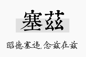 塞兹名字的寓意及含义