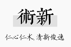 术新名字的寓意及含义