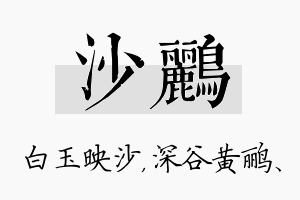 沙鹂名字的寓意及含义