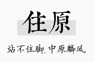 住原名字的寓意及含义