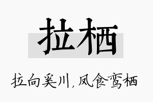 拉栖名字的寓意及含义