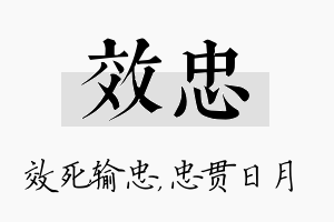 效忠名字的寓意及含义