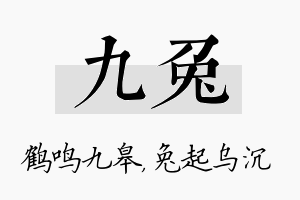 九兔名字的寓意及含义