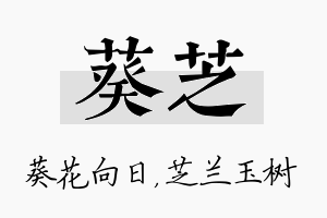 葵芝名字的寓意及含义