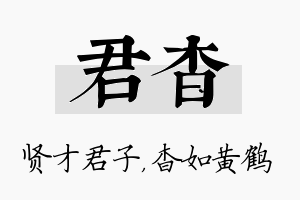 君杳名字的寓意及含义