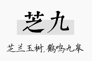 芝九名字的寓意及含义