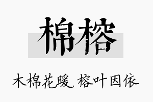 棉榕名字的寓意及含义