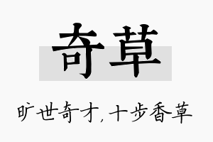 奇草名字的寓意及含义