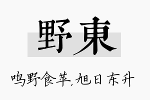 野东名字的寓意及含义