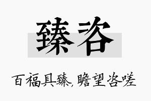 臻咨名字的寓意及含义