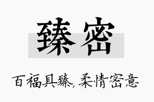 臻密名字的寓意及含义