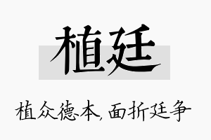 植廷名字的寓意及含义