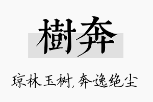 树奔名字的寓意及含义