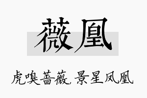 薇凰名字的寓意及含义