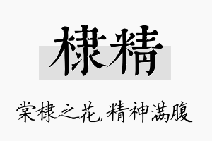 棣精名字的寓意及含义