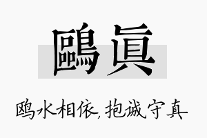 鸥真名字的寓意及含义