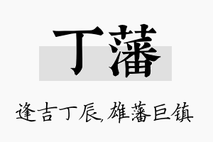 丁藩名字的寓意及含义