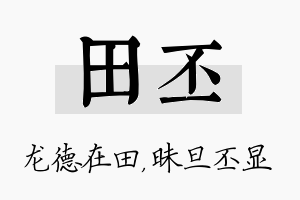 田丕名字的寓意及含义