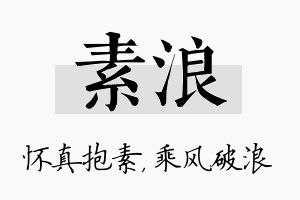 素浪名字的寓意及含义