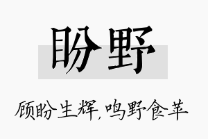 盼野名字的寓意及含义