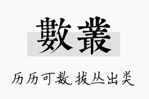 数丛名字的寓意及含义