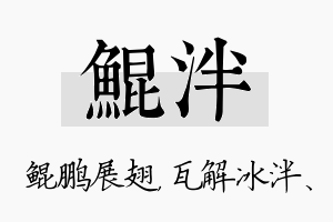 鲲泮名字的寓意及含义