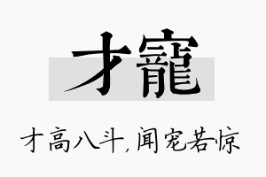 才宠名字的寓意及含义