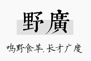 野广名字的寓意及含义