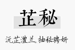 芷秘名字的寓意及含义