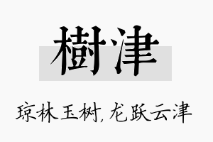 树津名字的寓意及含义