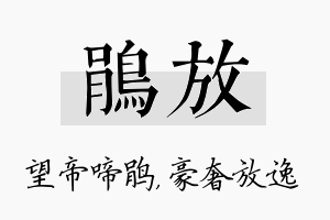 鹃放名字的寓意及含义